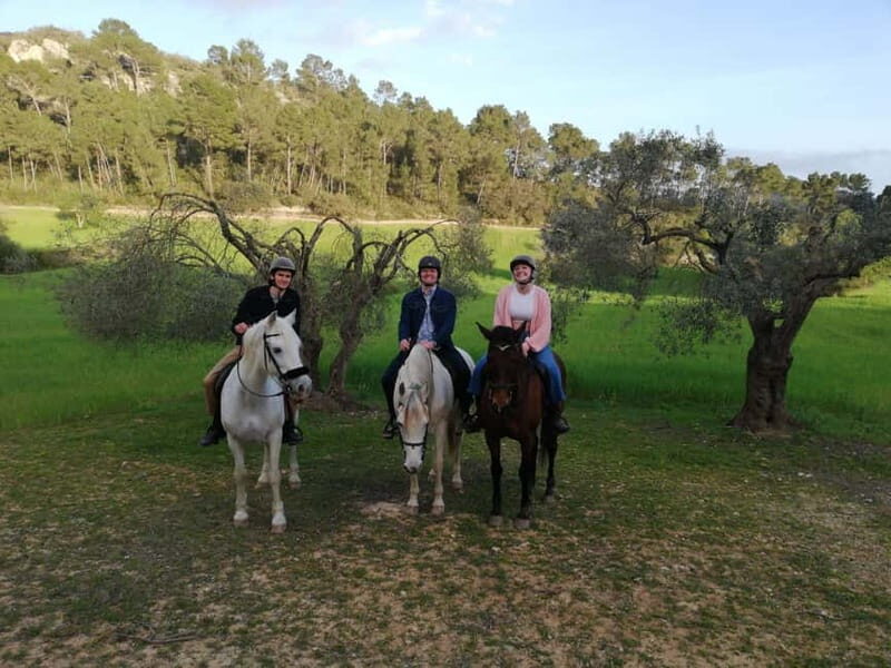 Mallorca: Sunset excursion, horse show, and falconry. - What to Expect from the Mallorca Sunset Experience