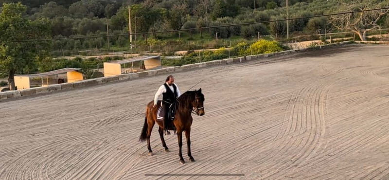 Mallorca: Sunset excursion, horse show, and falconry. - Authentic Experiences and Review Highlights