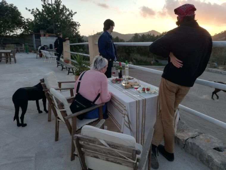 mallorca-sunset-spanish-riding-school-show