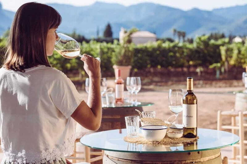 Mallorca: Sunset Wine Tasting Minibus Bodega Tour - The Sum Up