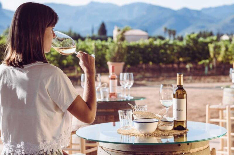 mallorca-sunset-wine-tasting-minibus-tour-german-guide