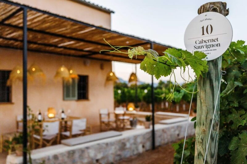 mallorca-sunset-wine-tasting-minibus-tour-german-guide