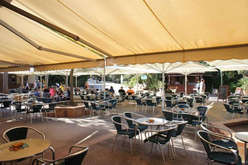 mallorca-ticket-for-caves-of-drach-with-pickup-service