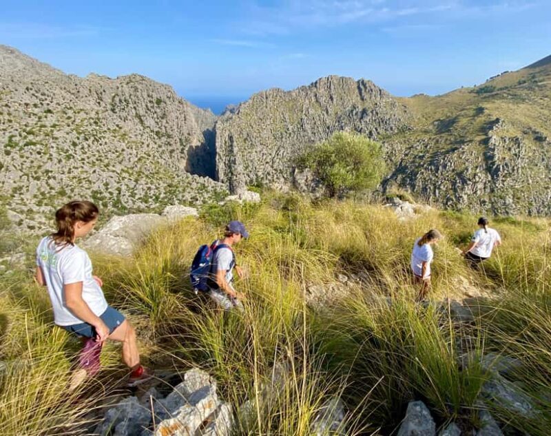 Mallorca: Torrent de Pareis trekking Adventure - In-Depth Look at the Torrent de Pareis Trekking Adventure