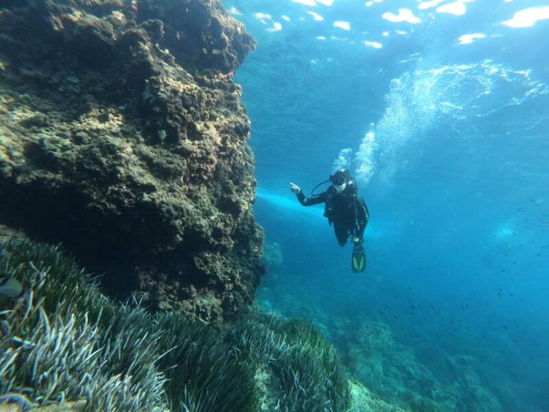 mallorca-try-scuba-diving-by-boat