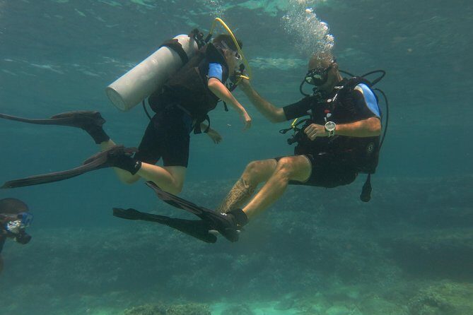 Mallorca: Try Scuba Diving in a Beautiful Nature Reserve - What to Expect During the Tour