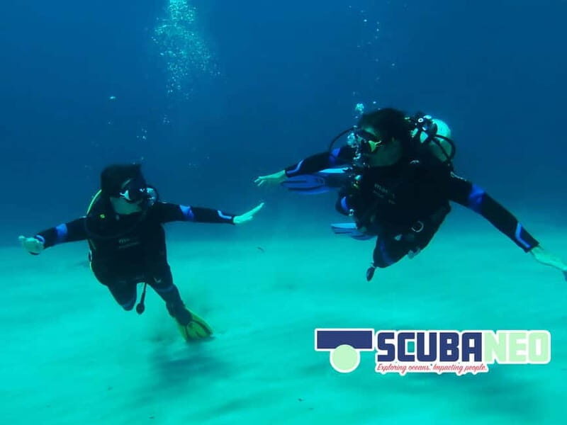 Mallorca: Try Scuba - try diving from a boat with an SSI instructor - Key Points