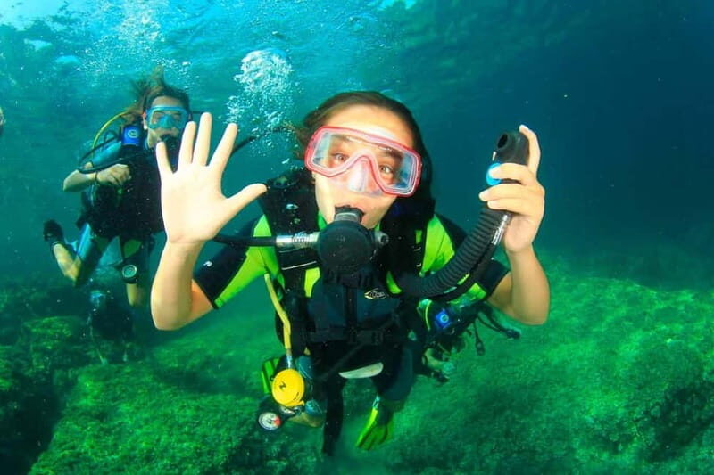 Mallorca: Try Scuba - try diving from a boat with an SSI instructor - An Authentic Mallorca Underwater Adventure