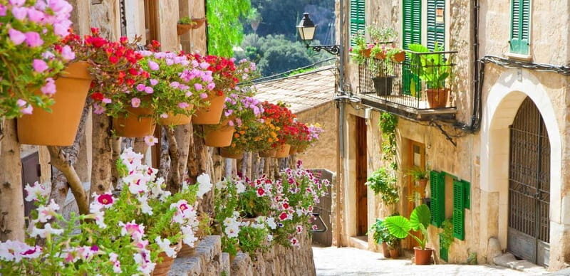 Mallorca: Valldemossa and Wine Tasting - Ultra Small group - Discovering Mallorca: Valldemossa and Wine Tasting - Ultra Small Group