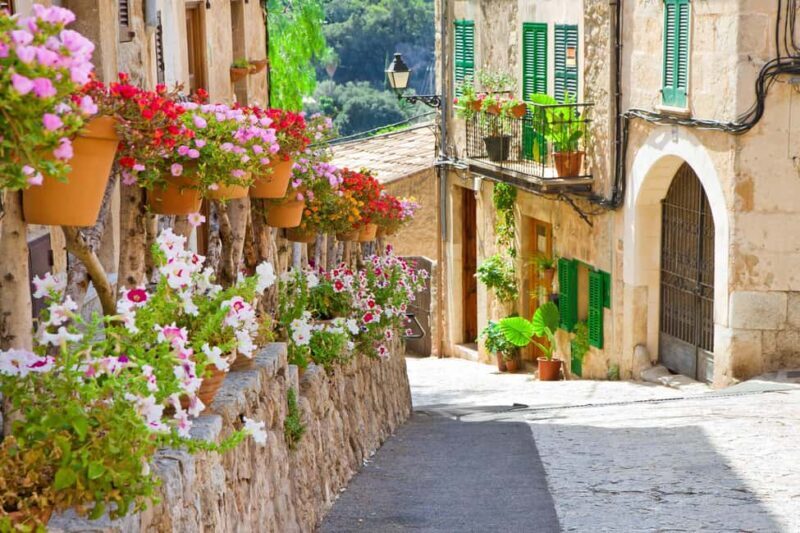 Mallorca: Valldemossa Half Day Tour - The Sum Up