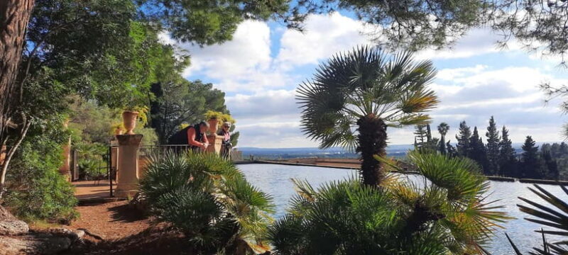 Mallorca: West Coast & Orange Valley Minbustour - An In-Depth Look at the Mallorca West Coast & Orange Valley Tour