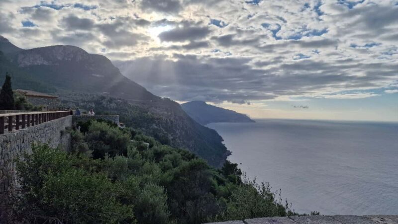 Mallorca: West Coast & Orange Valley Minbustour - Who Should Consider This Tour?