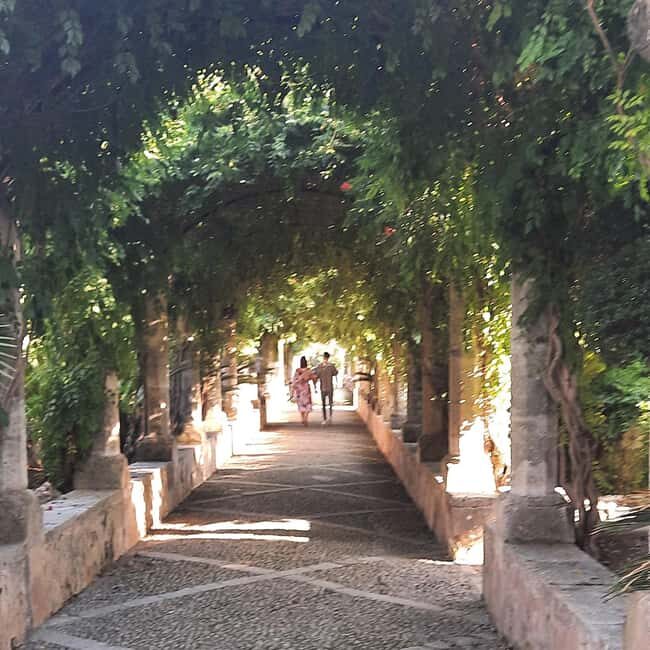 Mallorca: West Coast & Orange Valley Minbustour - Final Thoughts