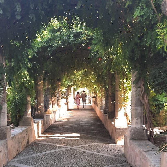 mallorca-west-coast-orange-valley-minibus-tour-german-guide