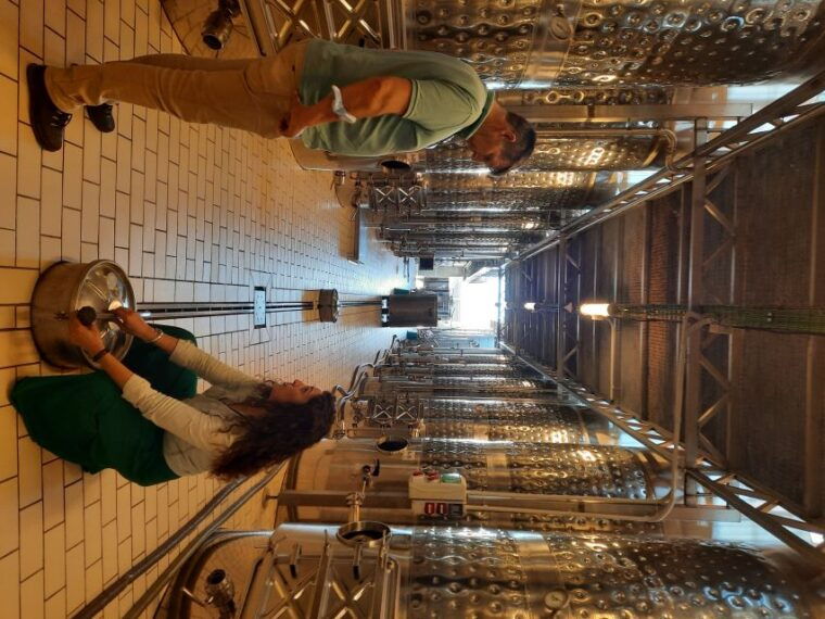 mallorca-wine-cellar-tour-xl-3-wine-tastings-including-german