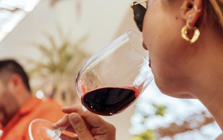 mallorca-wine-tasting-experience-4-wines-cheese