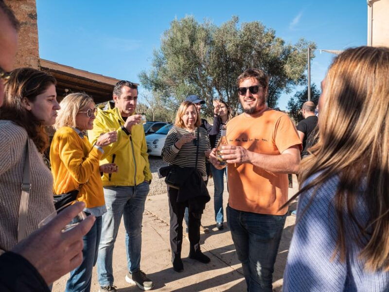 mallorca-winery-visit-and-wine-tasting-with-mallorcan-products