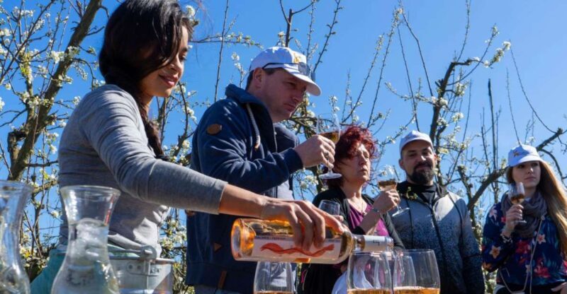 Mallorcas Emblematic Wineries Small Group Tour, two wineries - A Closer Look at the Itinerary and What to Expect