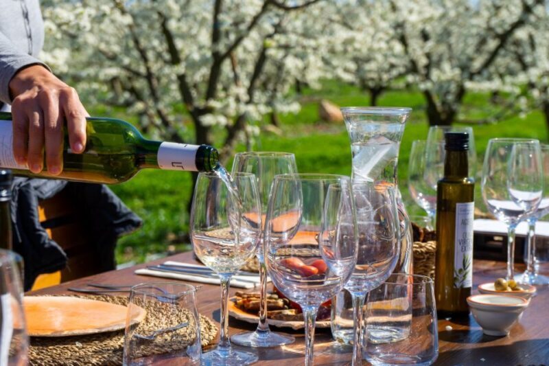 Mallorcas Emblematic Wineries Small Group Tour, two wineries - Why This Tour Offers Great Value