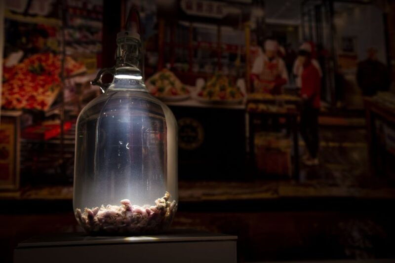 malmo-disgusting-food-museum-entrance-ticket