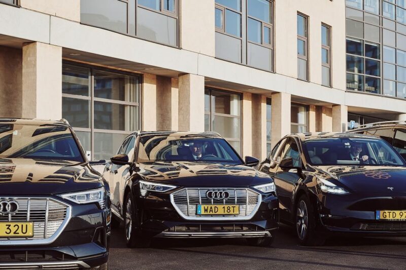 Malmö in 30 Minutes luxury e-car (Audi, E- Mercedes ) - Price and Value Analysis
