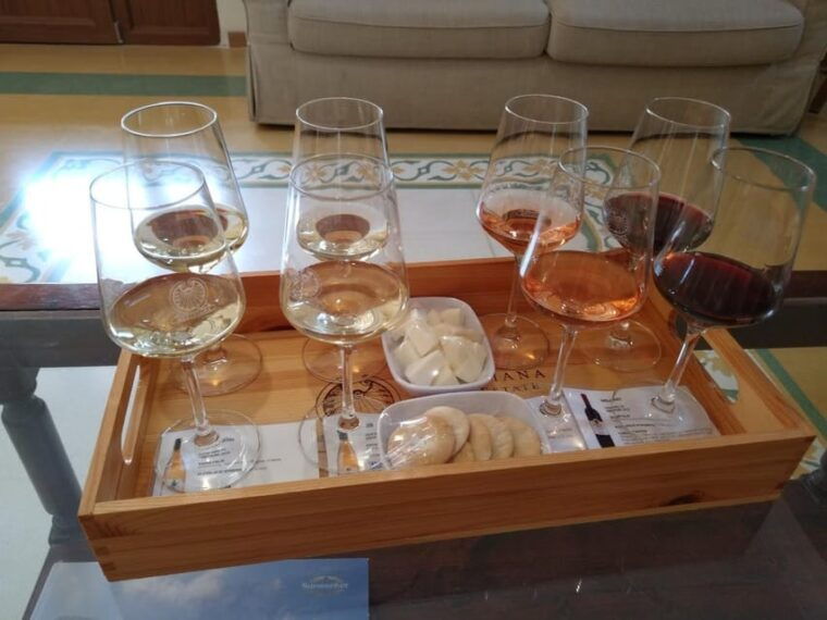 malta-2-hours-wine-tasting-experience-with-food-pairings