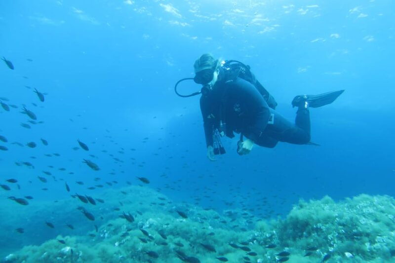malta-2-scuba-fun-dives-for-certified-divers