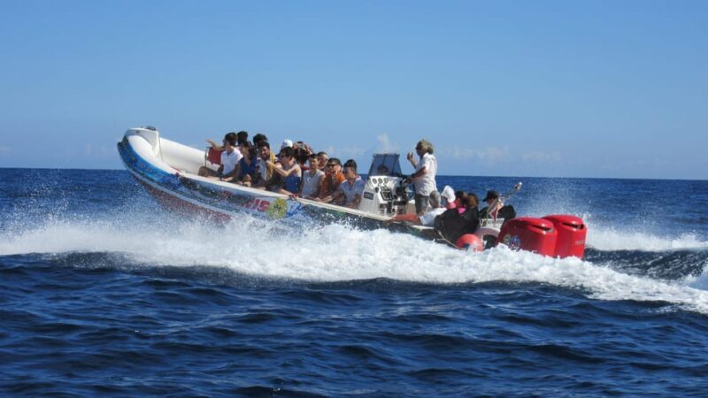 Malta: Blue Lagoon and Comino Caves Speedboat Tour - Who Is This Tour Best Suited For?