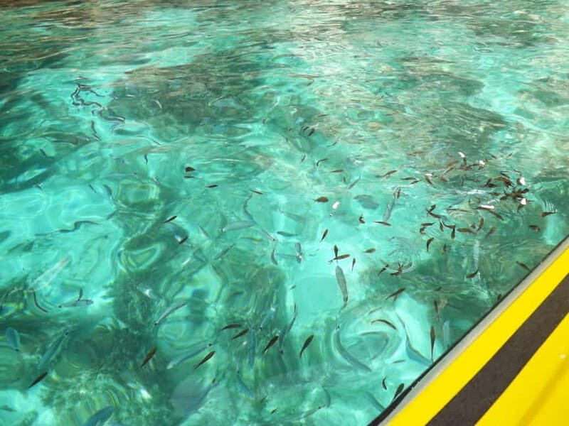 Malta: Blue Lagoon, Crystal Lagoon & Caves Private Speedboat - Authentic Traveler Feedback