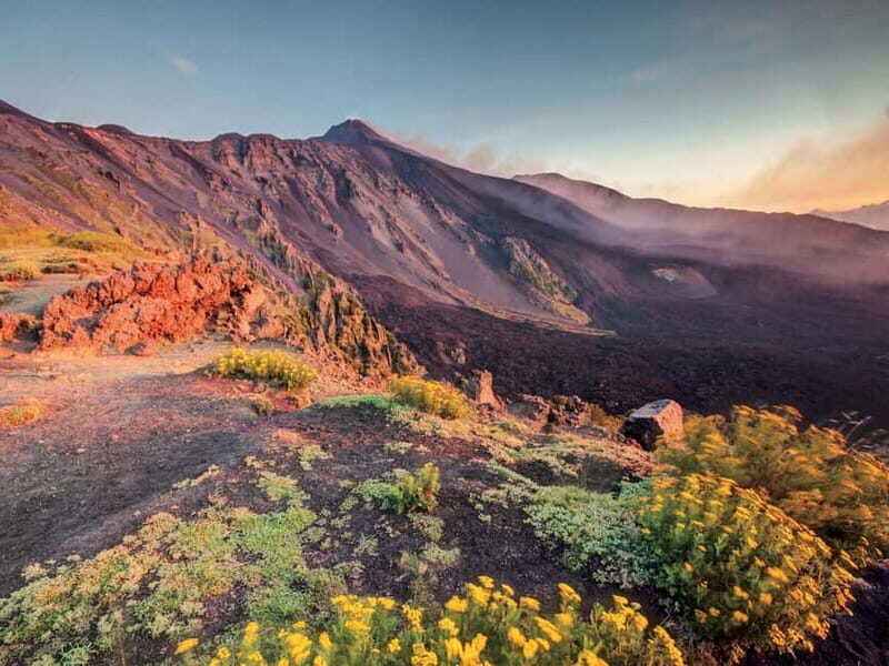 Malta: Mount Etna and Catania Guided Day Trip by Catamaran - An In-Depth Look at the Experience