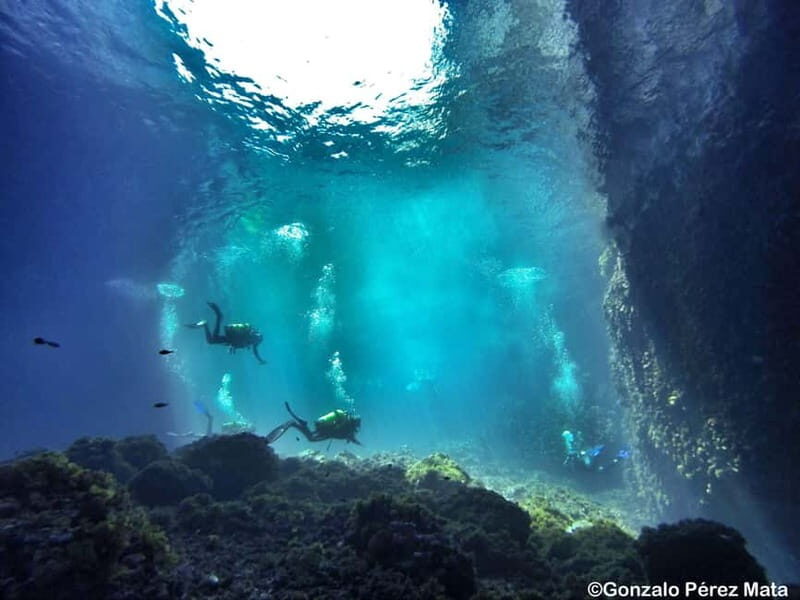 Malta: Scuba Diving Experience for Beginners w/certificate - Key Points