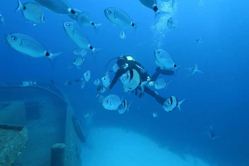 Malta: Scuba Diving Experience for Beginners w/certificate - Group Size, Duration, and Practicalities
