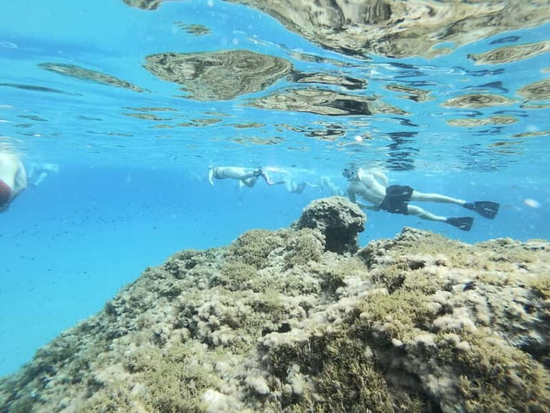Malta: Snorkeling Tour - Practical Tips for Participants