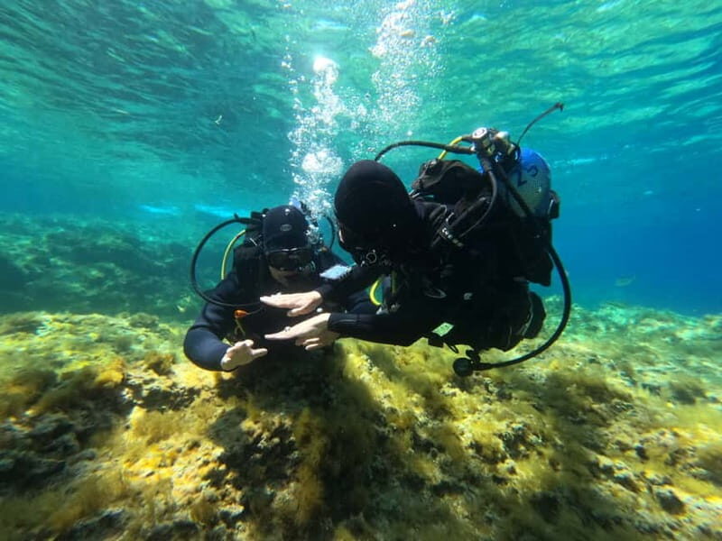 Malta: St. Paul's Bay 1 Day Scuba Diving Course - Introduction
