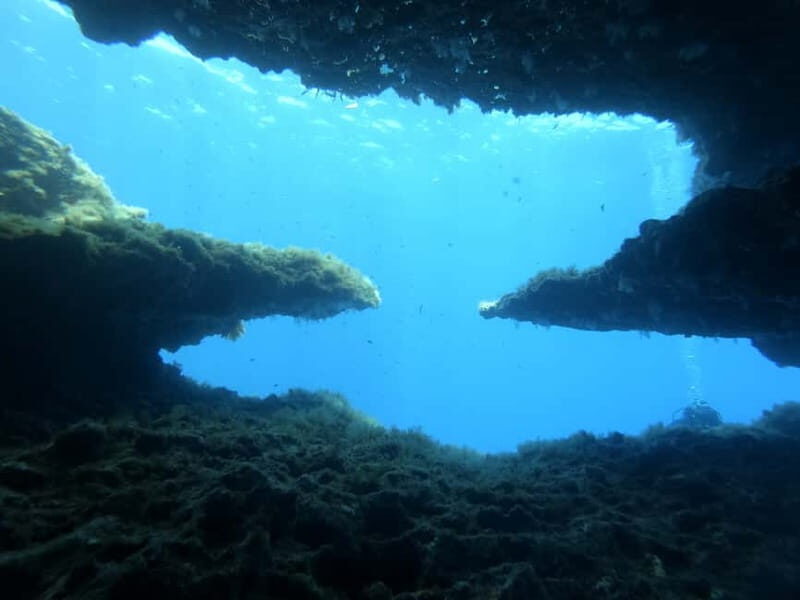 Malta: St. Paul's Bay 1 Day Scuba Diving Course - Final Thoughts