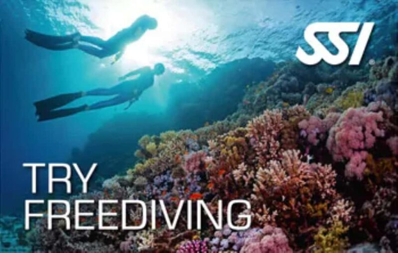 Malta: Try Freediving SSI - Freediving initiation with an instructor in French - Key Points