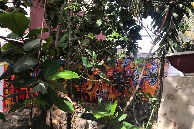 Mamelles Lighthouse and Ngor Island (Walking Tour) - Key Points  