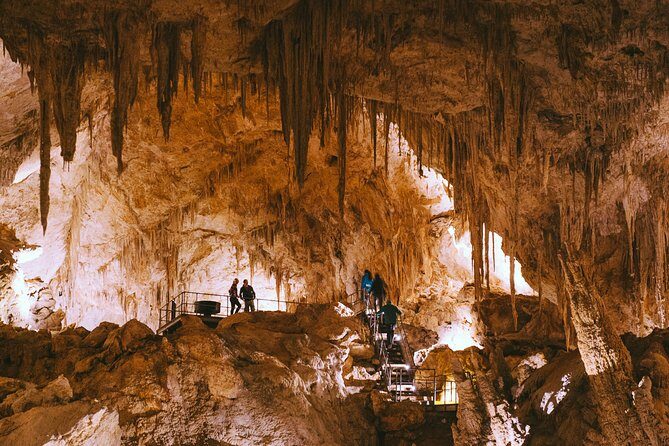 Mammoth Cave Self-guided Audio Tour (Located in Western Australia) - An In-depth Look at the Mammoth Cave Self-guided Audio Tour