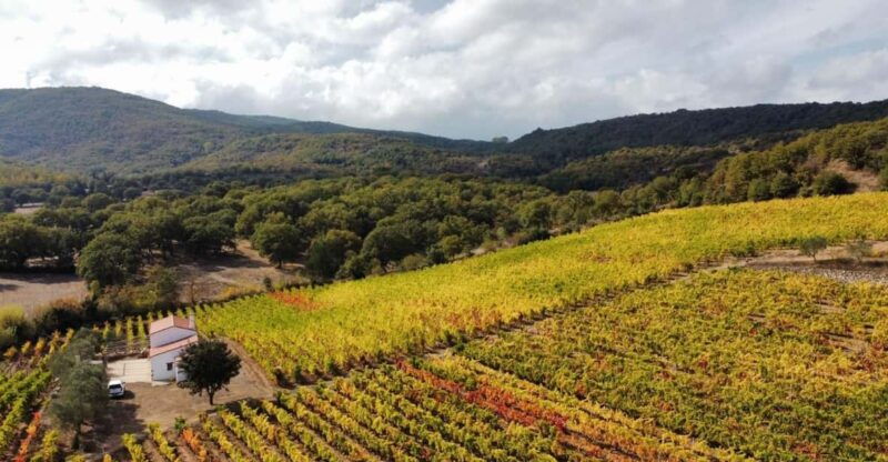 mamoiada-visit-a-winery-with-wine-tasting