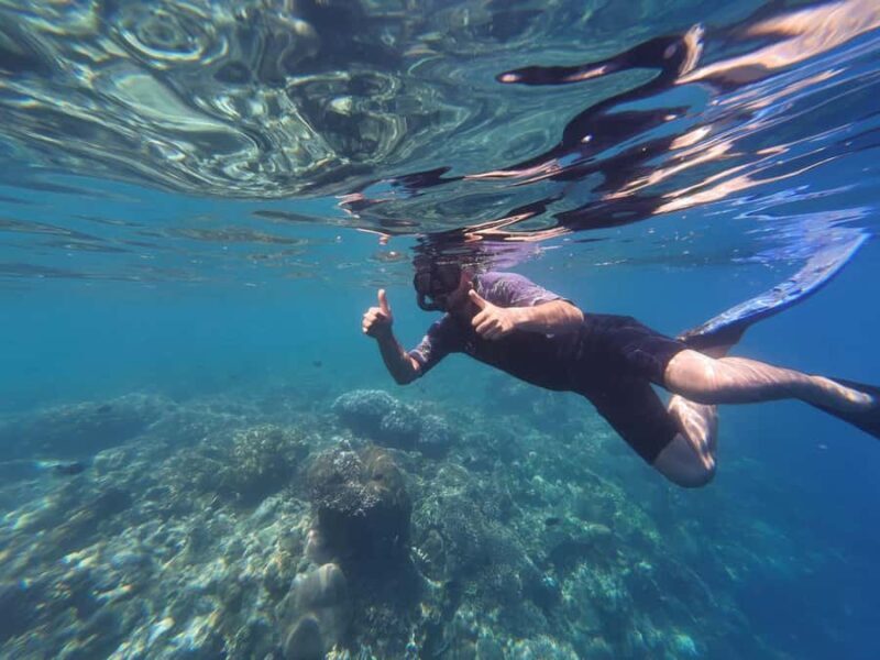 Manado: Bunaken National Park Snorkeling or Diving Tour - Who Will Love This Experience?