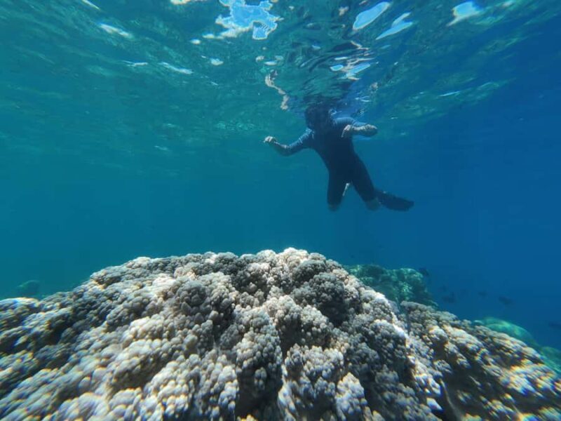 Manado: Bunaken National Park Snorkeling or Diving Tour - FAQ