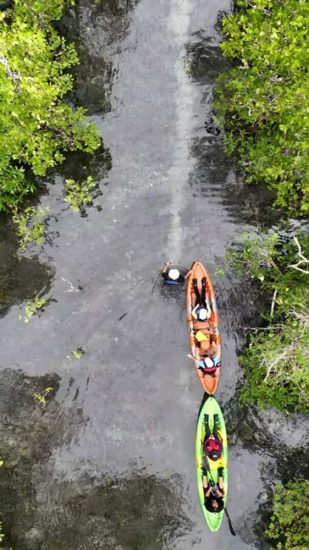 Manado: Tarsier Mangrove Forest Kayak Tour - Manado: Tarsier Mangrove Forest Kayak Tour - An Authentic Wildlife Adventure in North Sulawesi