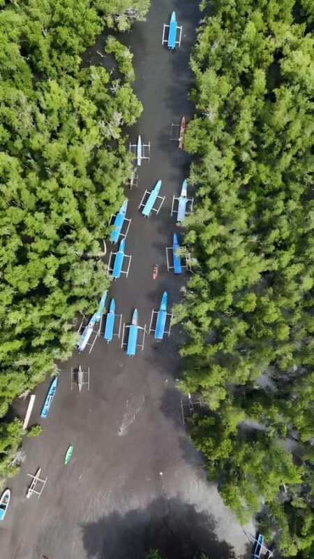 Manado: Tarsier Mangrove Forest Kayak Tour - Who Should Consider This Tour?