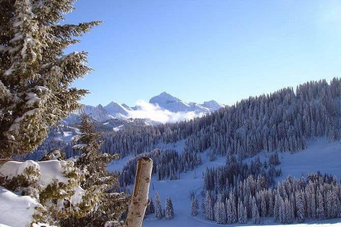 Manali Highlights Full Day Guided City Tour - Who Is This Tour Best For?