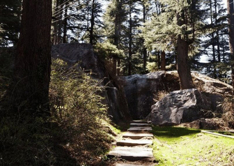 Manali Nature Walk (3 Hours Guided Trekking Experience) - Who Will Love This Tour?