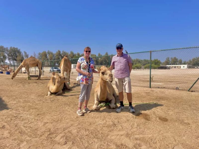 Manama: Tour from the South to the North of Bahrain - FAQ