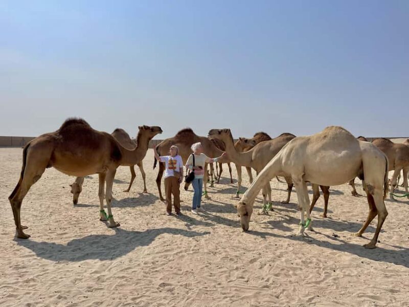 Manama: Tour from the South to the North of Bahrain - Final Thoughts