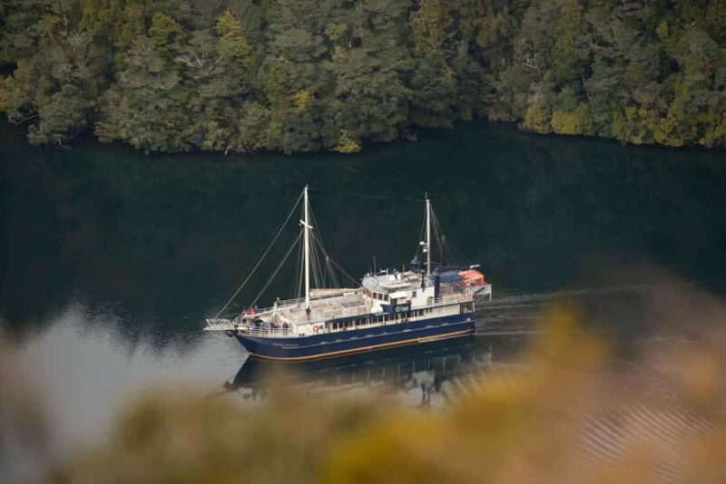 Manapouri: Doubtful Sound Overnight Cruise (2 Nights) - Morning in the Fjord