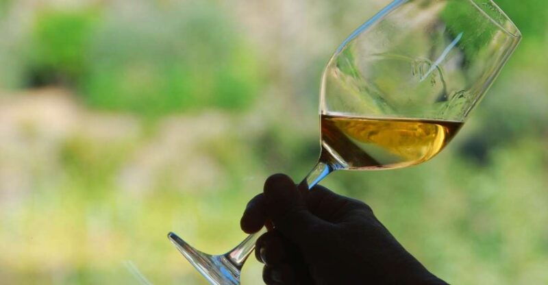 manarola-cinque-terre-wine-tasting