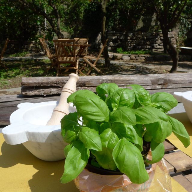 manarola-pesto-making-class-with-tasting-and-wine